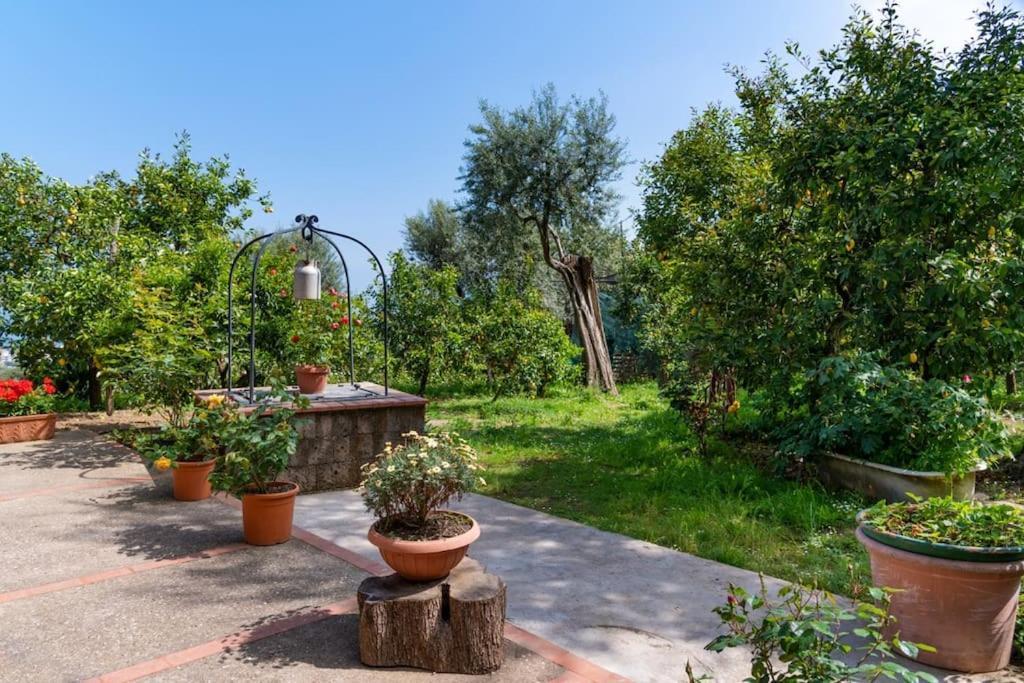 Sorrentovibes - Sea View Rooftop Apartment With Jacuzzi & Garden מראה חיצוני תמונה