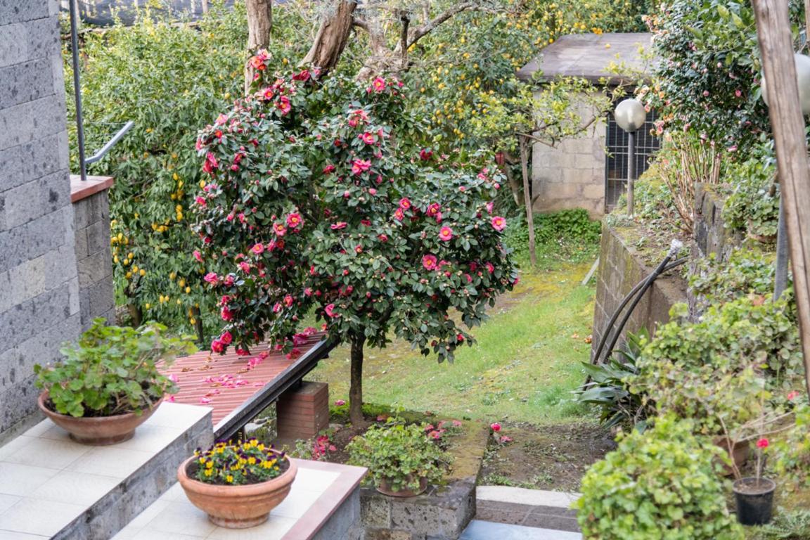 Sorrentovibes - Sea View Rooftop Apartment With Jacuzzi & Garden מראה חיצוני תמונה