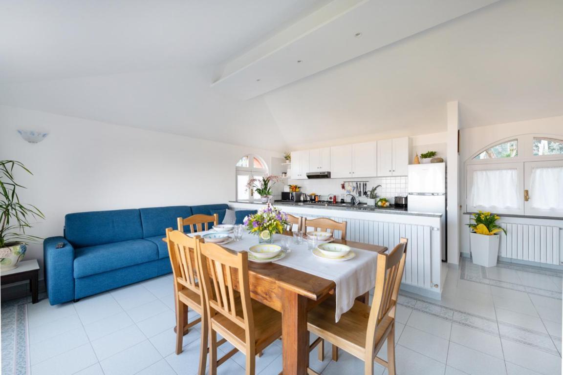 Sorrentovibes - Sea View Rooftop Apartment With Jacuzzi & Garden מראה חיצוני תמונה