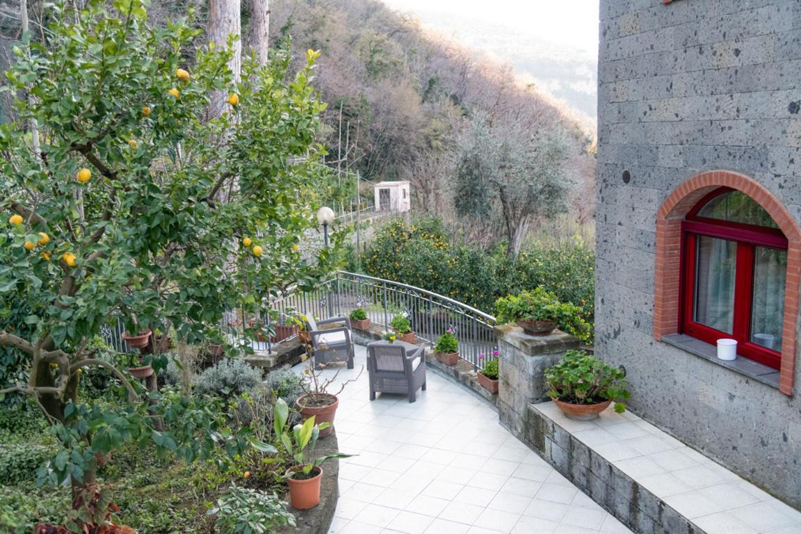 Sorrentovibes - Sea View Rooftop Apartment With Jacuzzi & Garden מראה חיצוני תמונה