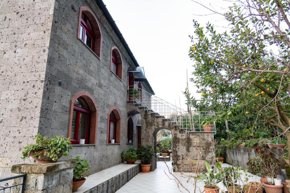 Sorrentovibes - Sea View Rooftop Apartment With Jacuzzi & Garden מראה חיצוני תמונה